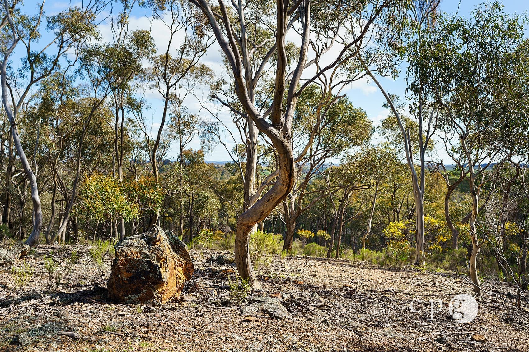 32 Taylor Road, YAPEEN, VIC 3451, Yapeen - Thumbnail 7