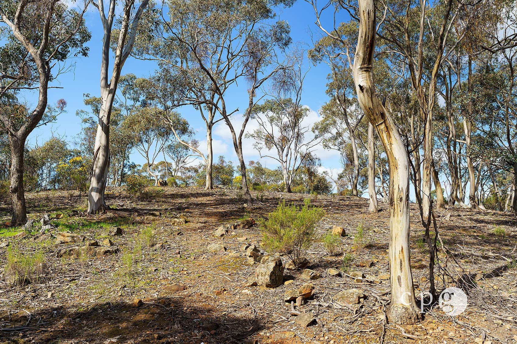 32 Taylor Road, YAPEEN, VIC 3451, Yapeen - Thumbnail 8