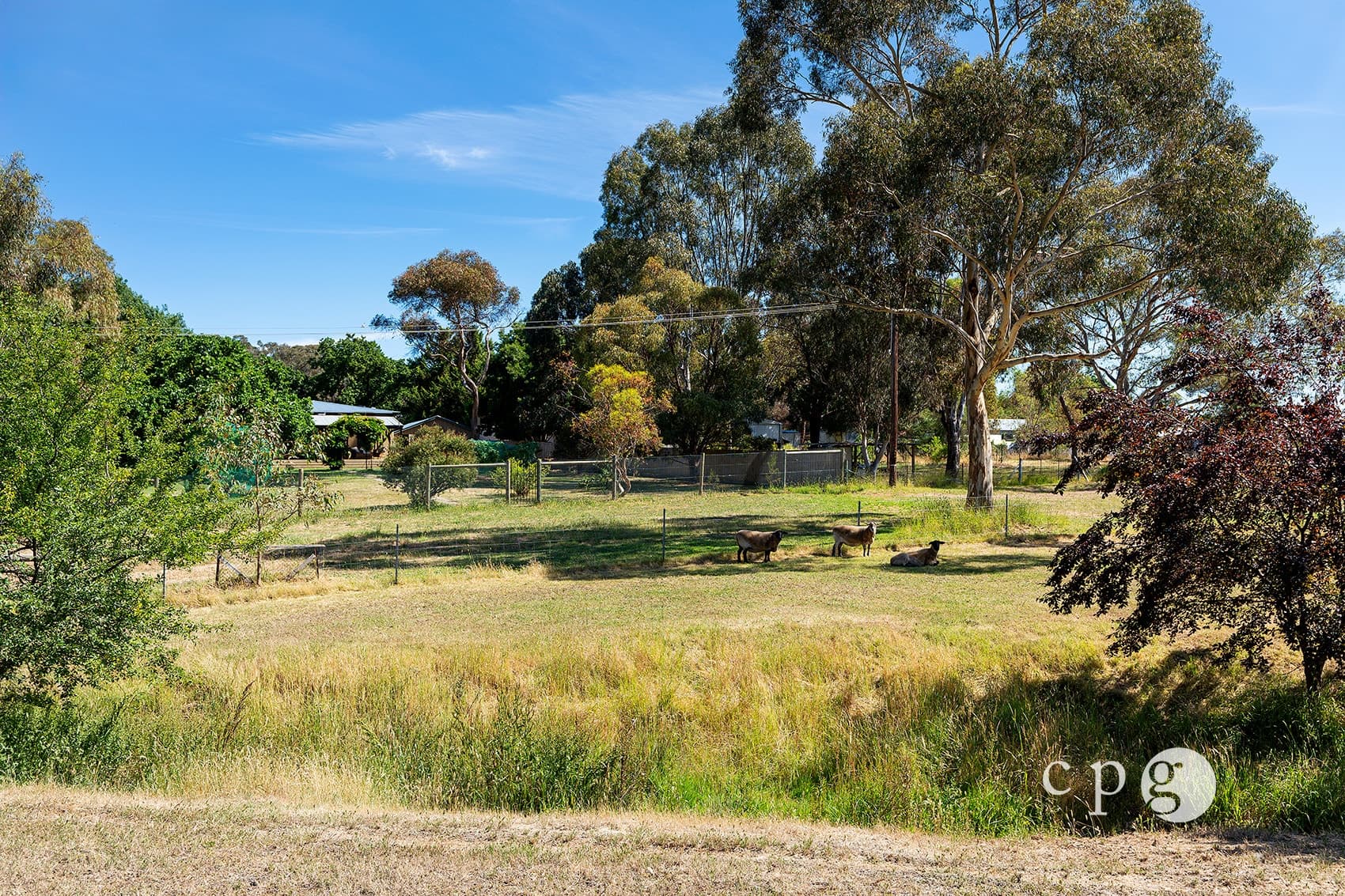 36 Princess Street, CAMPBELLS CREEK, VIC 3451, Campbells Creek - Thumbnail 5