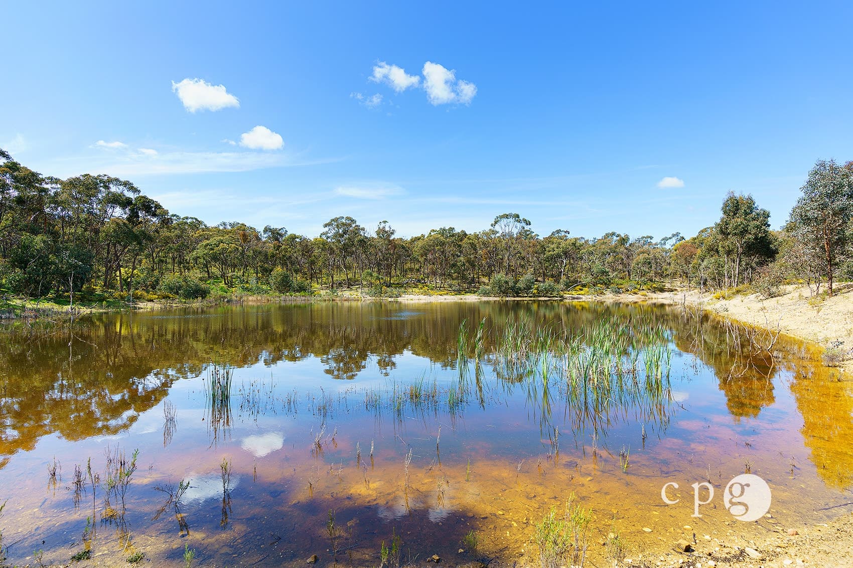 93 Bulkeleys Road, MCKENZIE HILL, VIC 3451, McKenzie Hill - Thumbnail 2