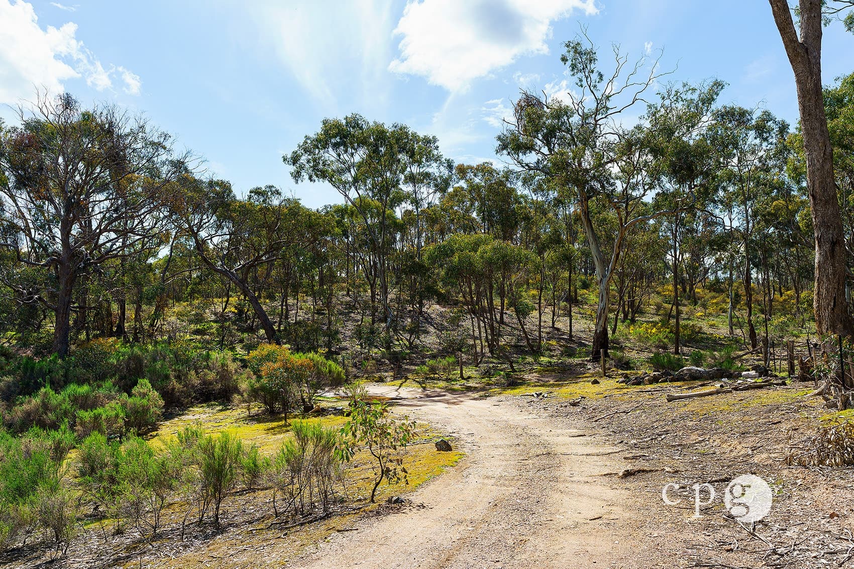 93 Bulkeleys Road, MCKENZIE HILL, VIC 3451, McKenzie Hill - Thumbnail 4