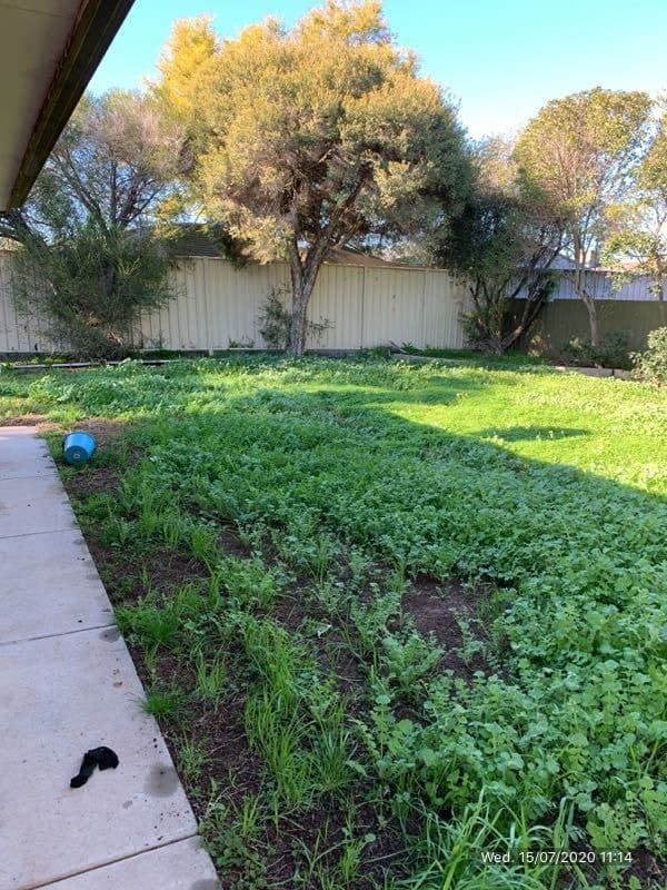 22 Percival StreetShepparton, VIC 3630  - Leased, Shepparton - Thumbnail 8