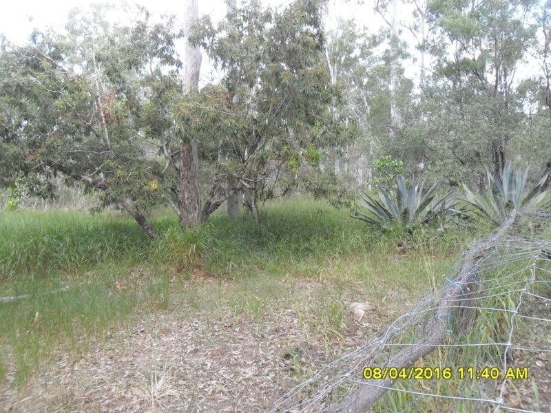3 Billabong Way, Bucca, Bucca - Thumbnail 6