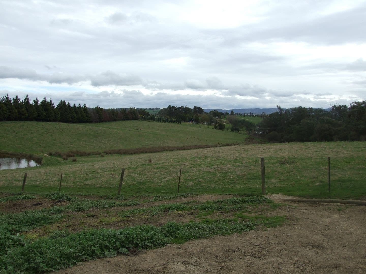 1 Maxwells RoadColdstream, VIC 3770  - Leased, Coldstream - Thumbnail 5