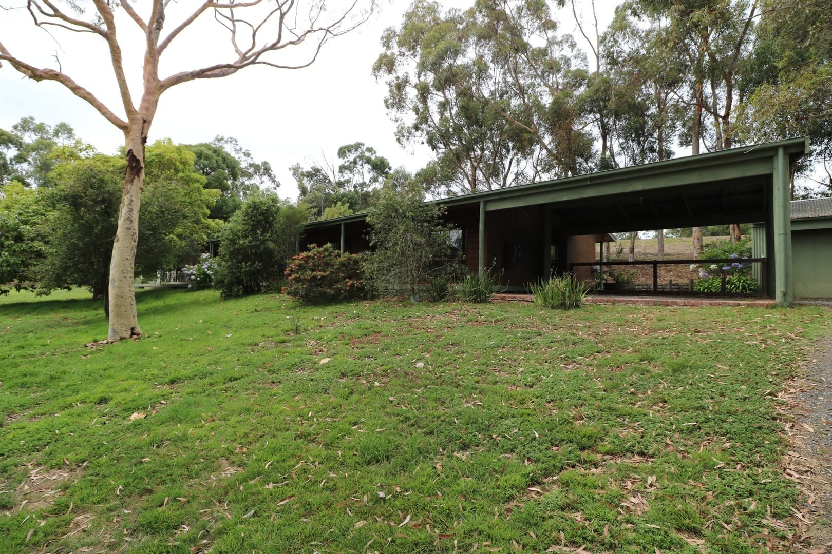 175 Central RoadDrysdale, VIC 3222  - Leased, Drysdale - Image 1