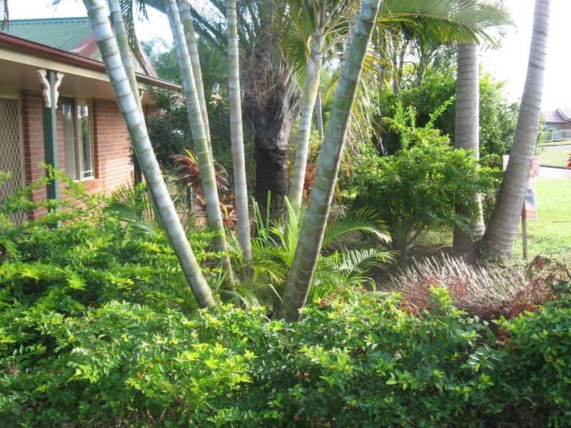 Avoca, Avoca - Thumbnail 2