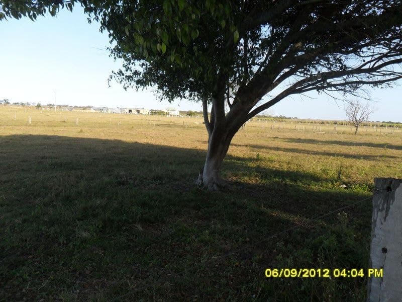 Calavos, Calavos - Thumbnail 3