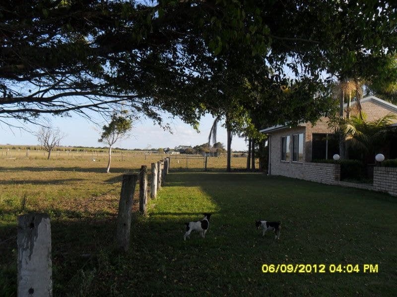 Calavos, Calavos - Thumbnail 5