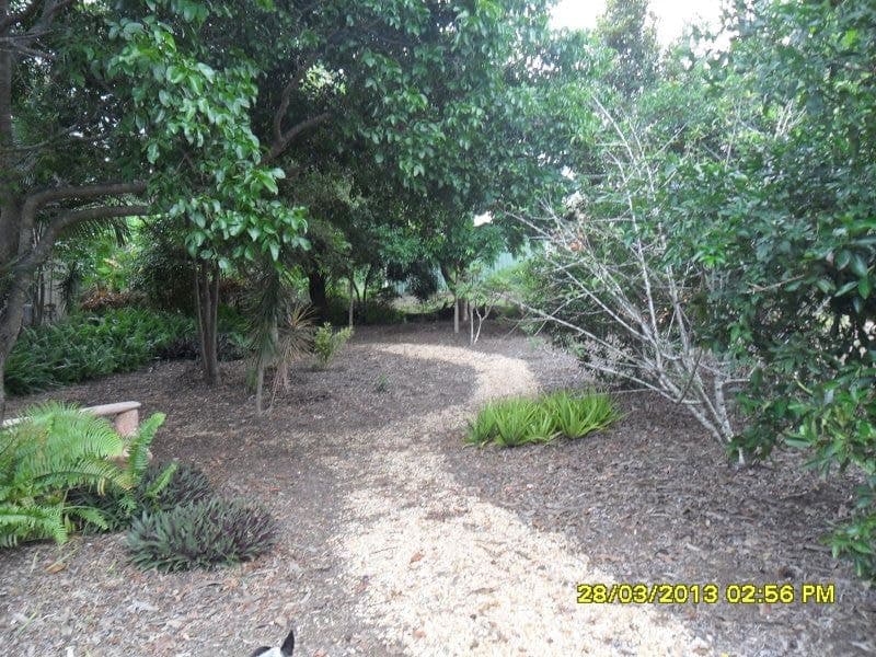 Moore Park Beach, Beach - Thumbnail 6