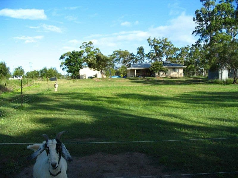 Bucca, Bucca - Thumbnail 7