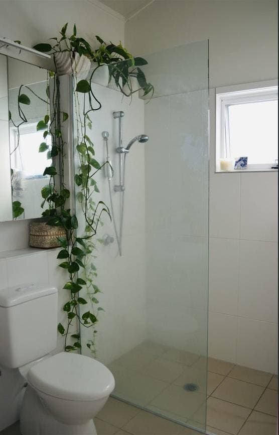 3/603-615 Casuarina Way, Casuarina NSW 2487, Casuarina - Thumbnail 2