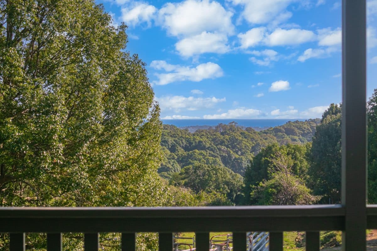 302 Mcallisters Road, Bilambil Heights NSW 2486, Bilambil Heights - Thumbnail 4