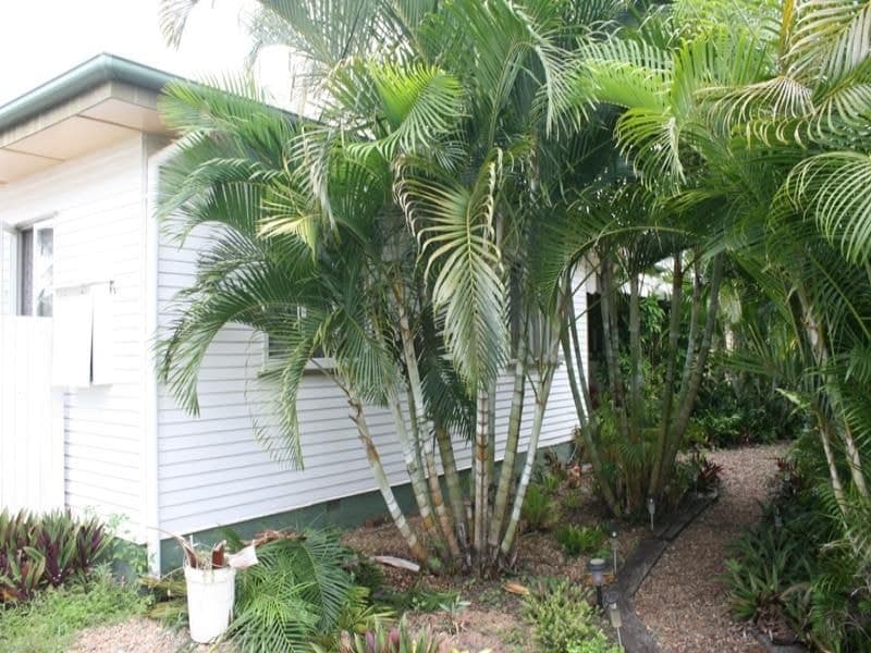 Bundaberg North, Bundaberg North - Thumbnail 2