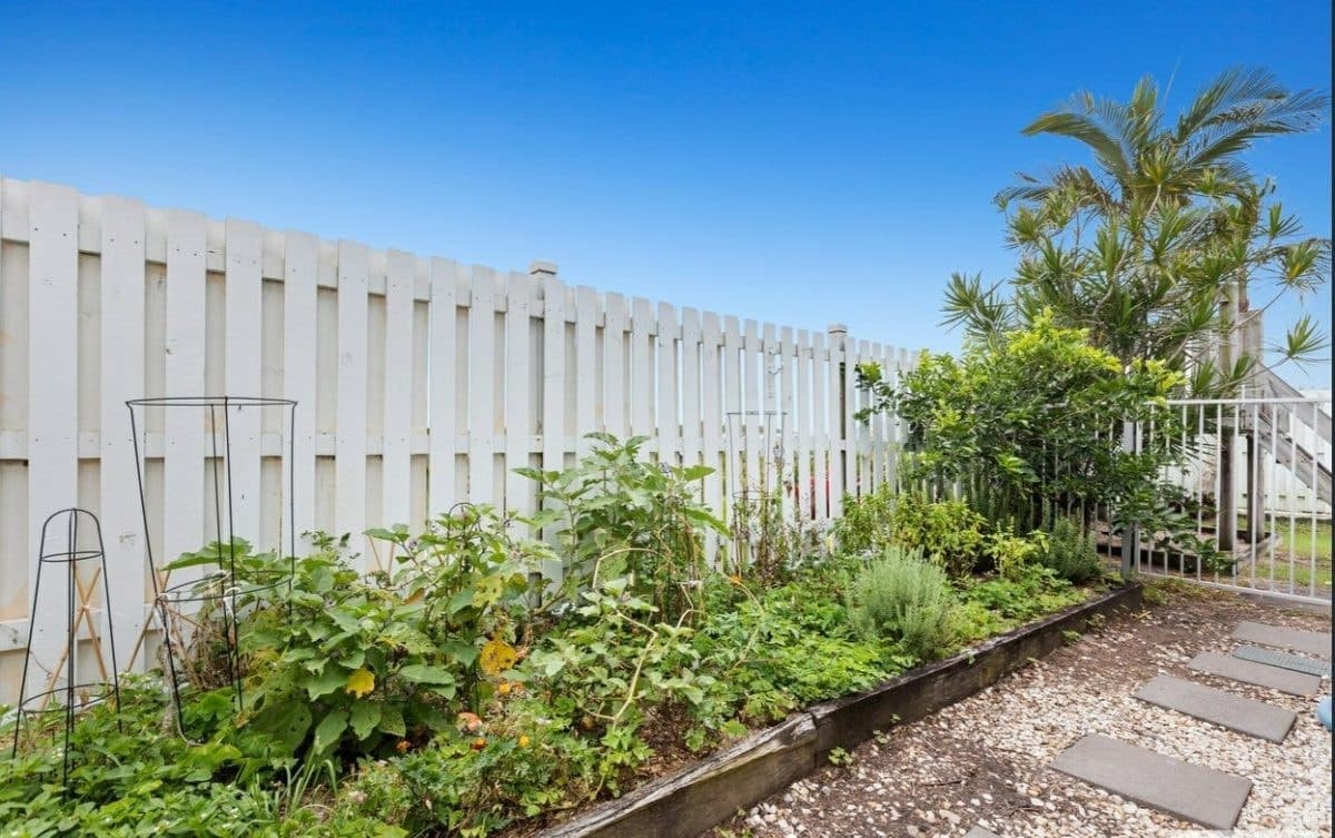 426 Casuarina Way, Casuarina NSW 2487, Casuarina - Thumbnail 2