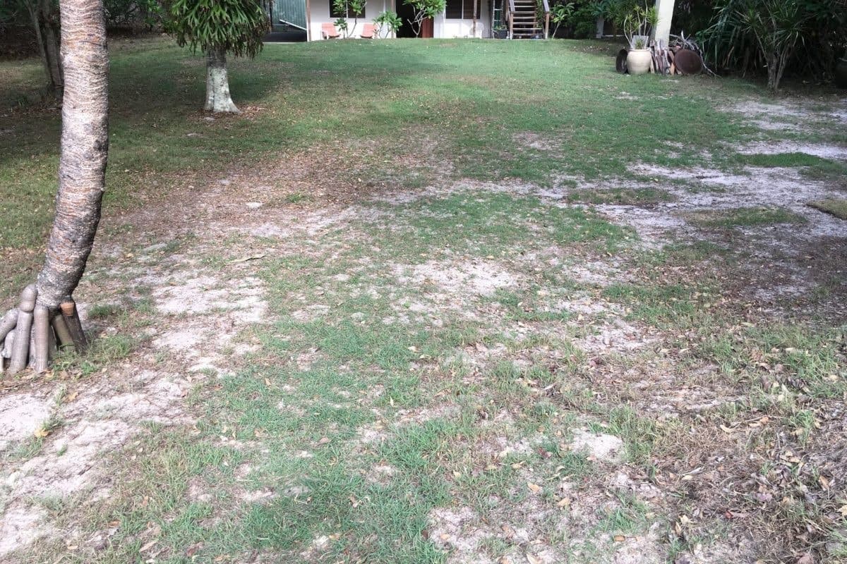 15 Murphys Road, Kingscliff NSW 2487, Kingscliff - Thumbnail 2