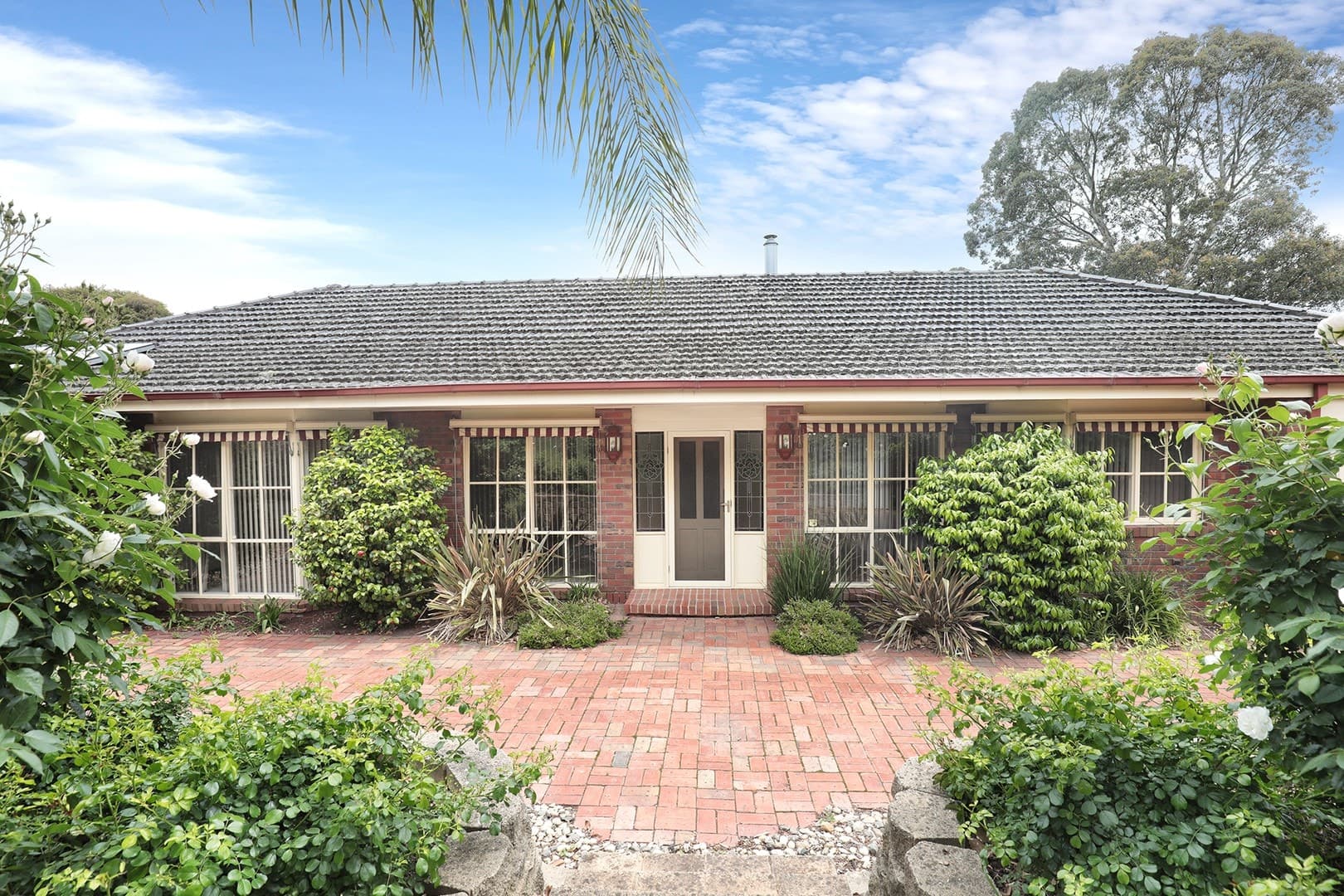27 King RoadHarkaway, VIC 3806  - Leased, Harkaway - Thumbnail 3