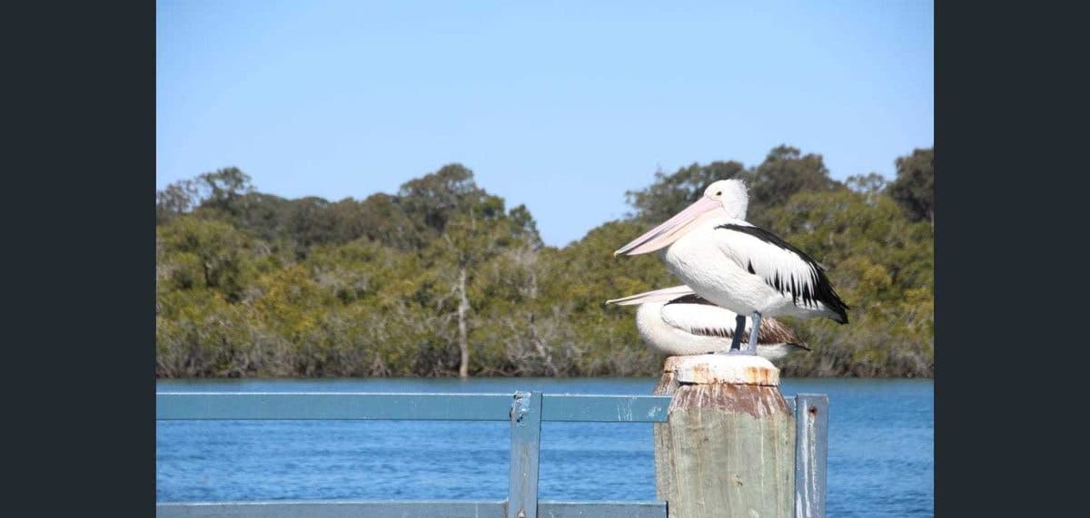 10 Bosun Boulevard, Banora Point NSW 2486, Banora Point - Image 1