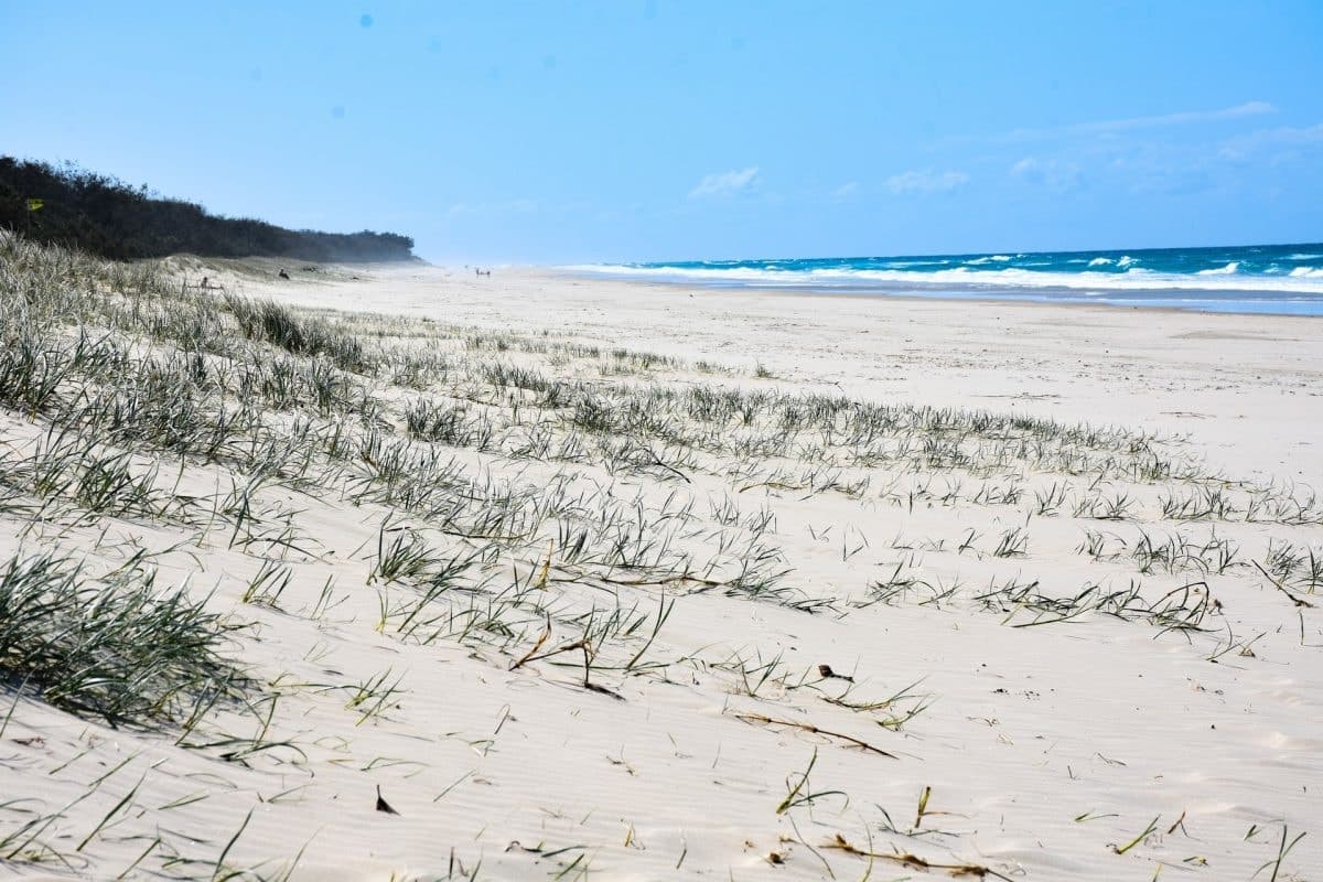 12/29 Sailfish Way, Kingscliff NSW 2487, Kingscliff - Image 1