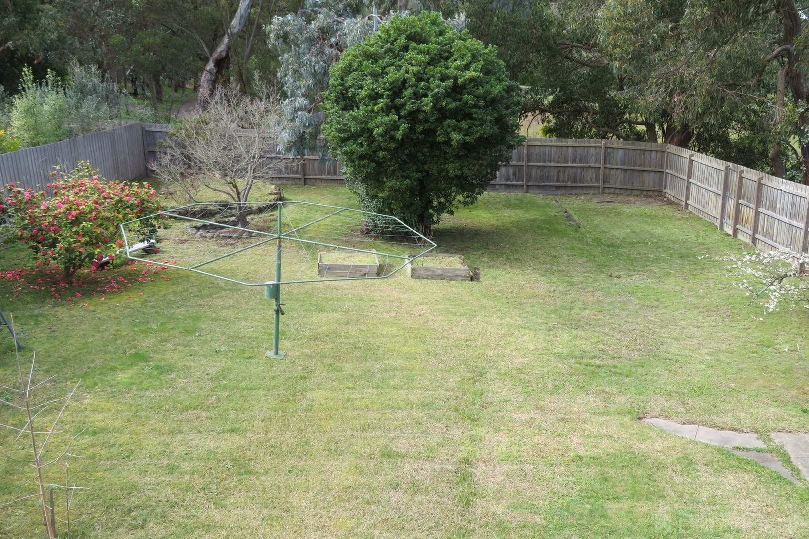 19 Ireland StreetRingwood, VIC 3134  - Leased, Ringwood - Thumbnail 5