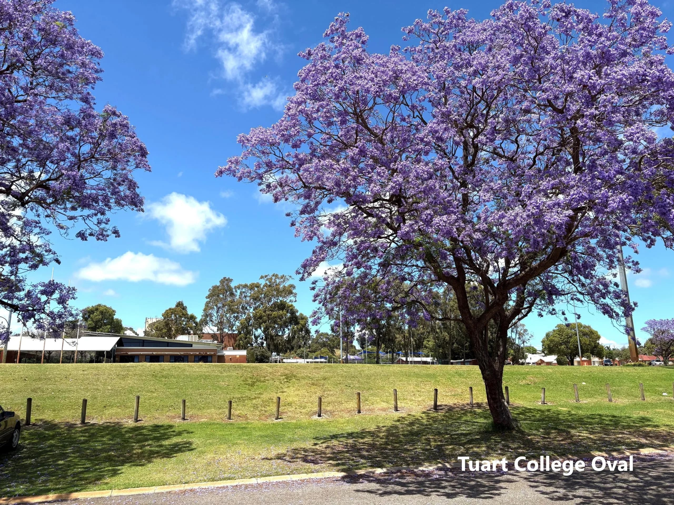 5/65 Tyler Street, Joondanna - Image 1