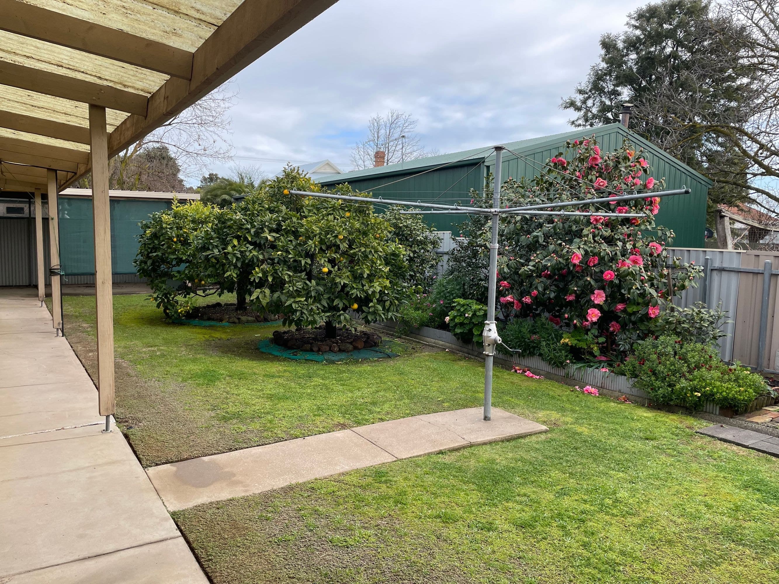 16 Ivy Street, Horsham VIC 3400, Horsham - Thumbnail 8