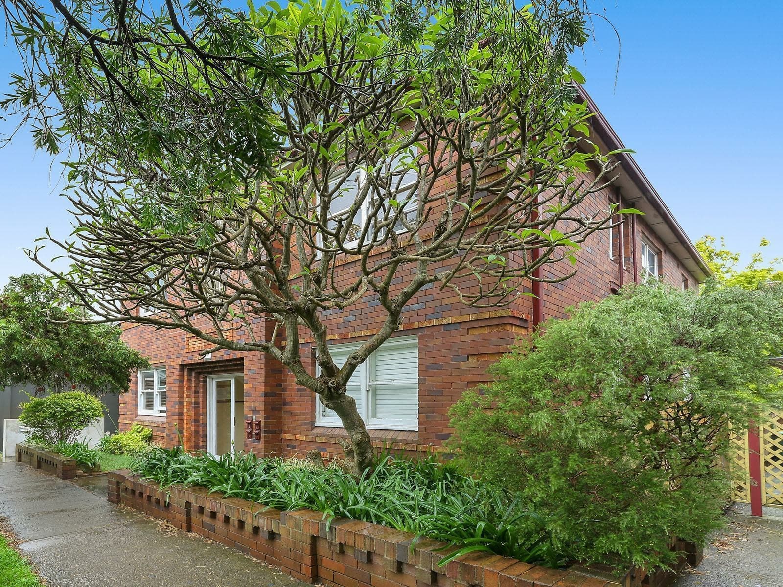 4/7 Henry Street, QUEENS PARK, Queens Park - Thumbnail 5