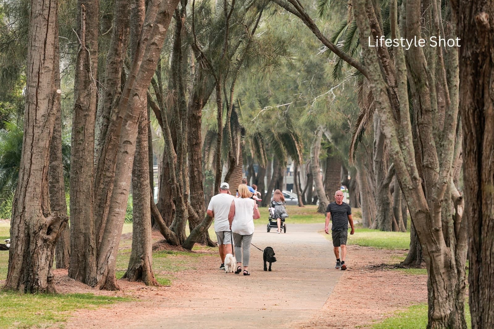 2/62-64A Park Street, NARRABEEN, Narrabeen - Thumbnail 7