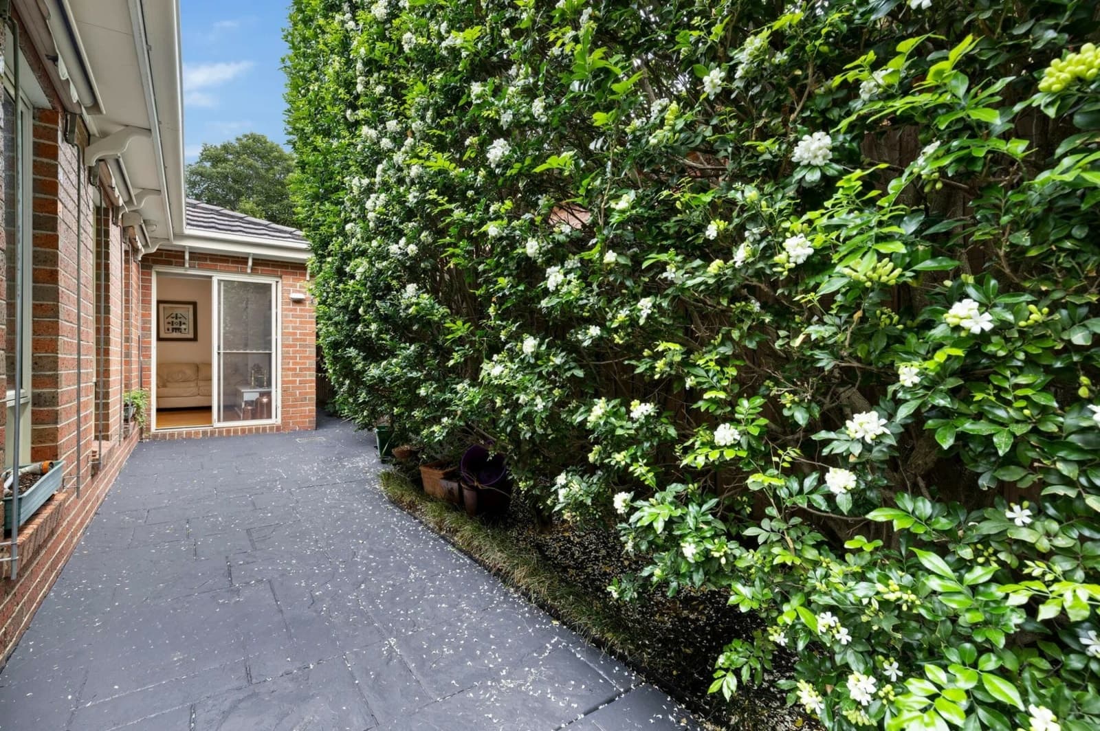 3/8 Oakleigh Road,Carnegie, Carnegie - Thumbnail 5