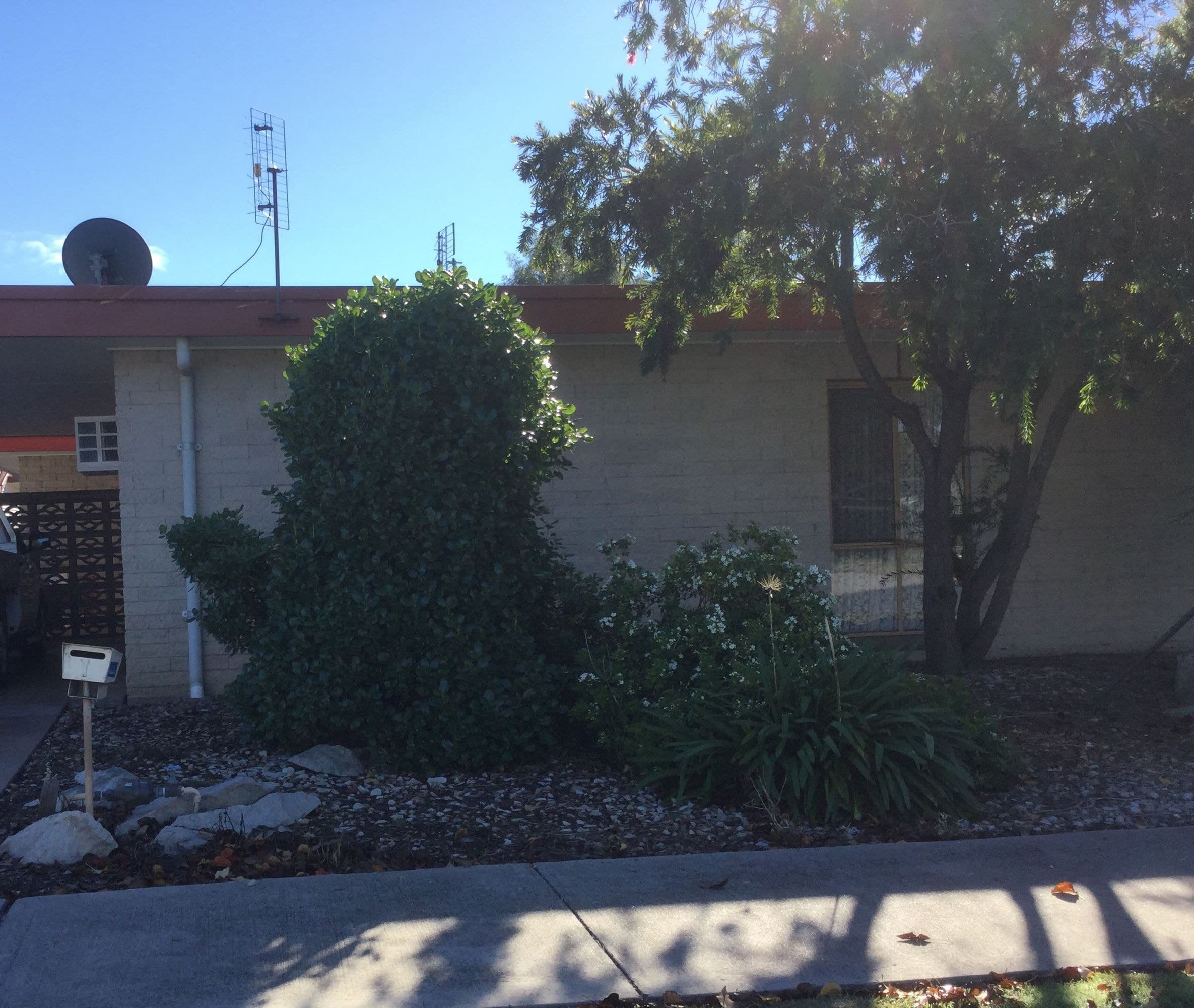 1/37 Harriett Street, Horsham, VIC 3400, Horsham - Image 1