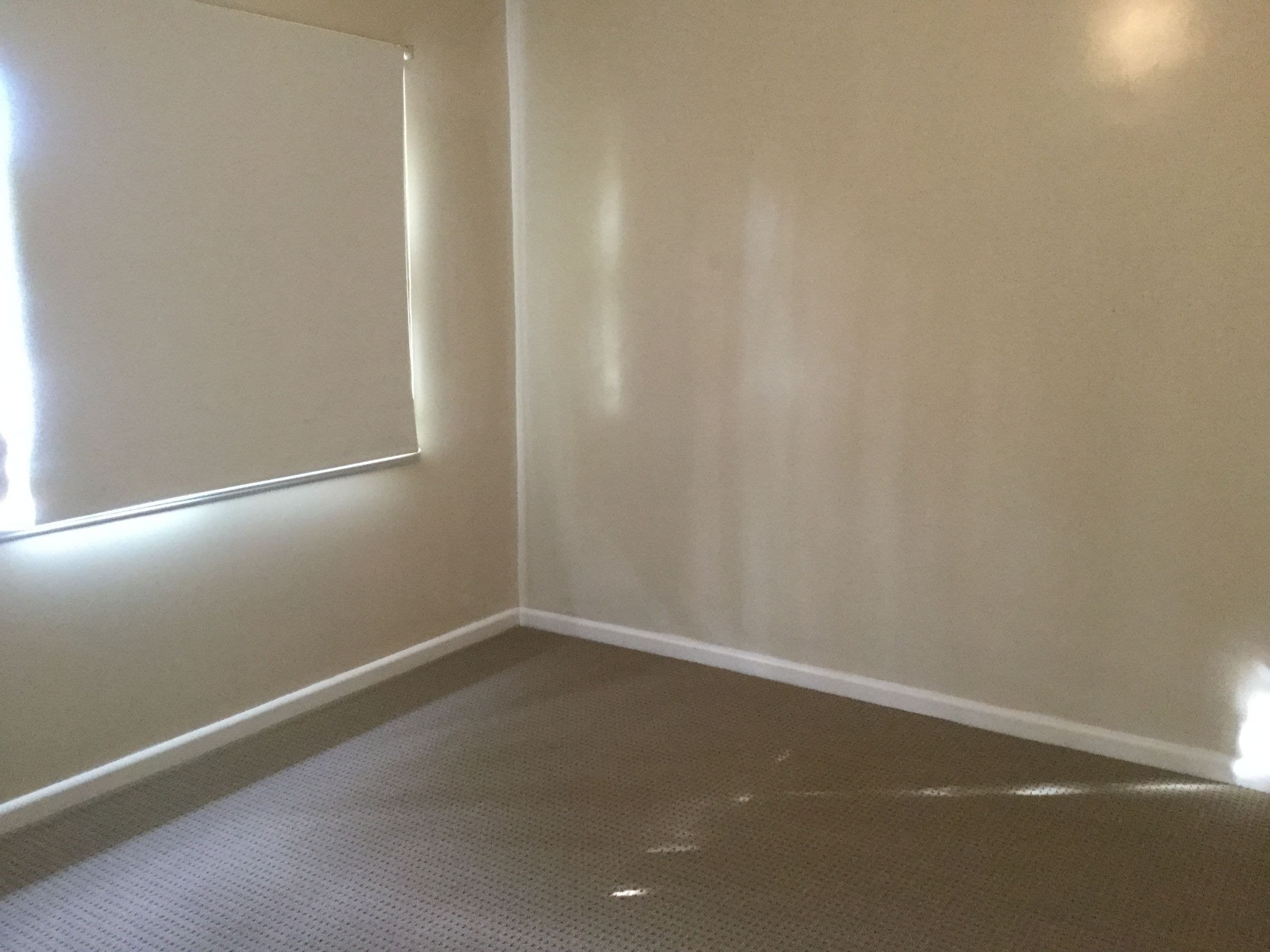 53 Edith Street, Horsham VIC 3400, Horsham - Thumbnail 7