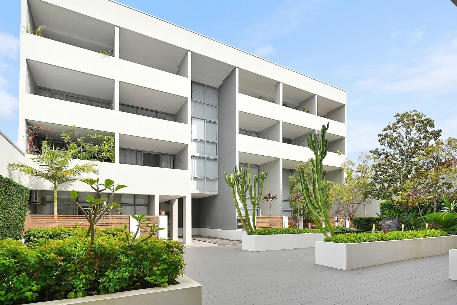 29/654 Botany Road, Alexandria NSW 2015, Alexandria - Thumbnail 6