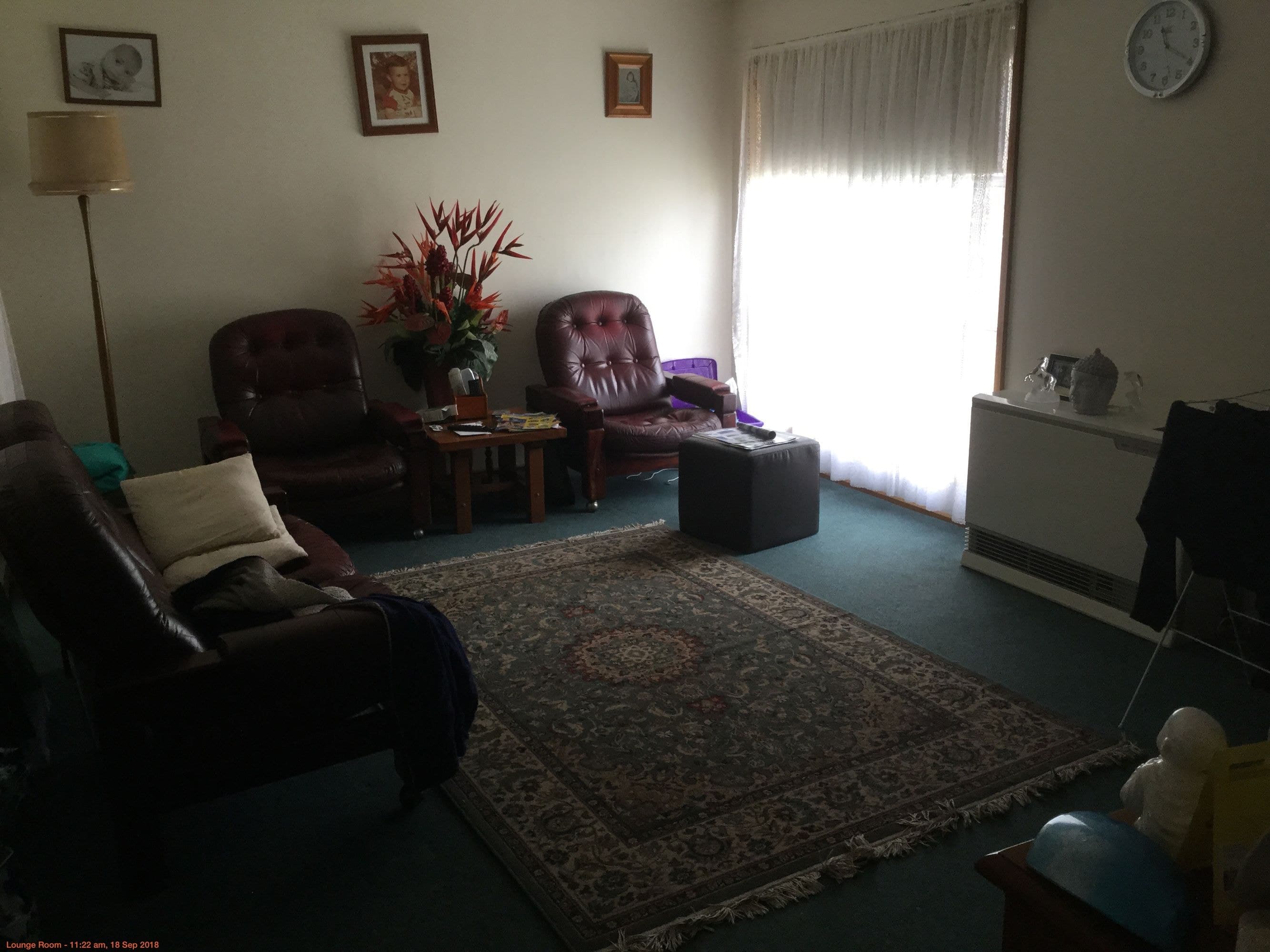 13 Shirley Street, Horsham, VIC 3400, Horsham - Thumbnail 2