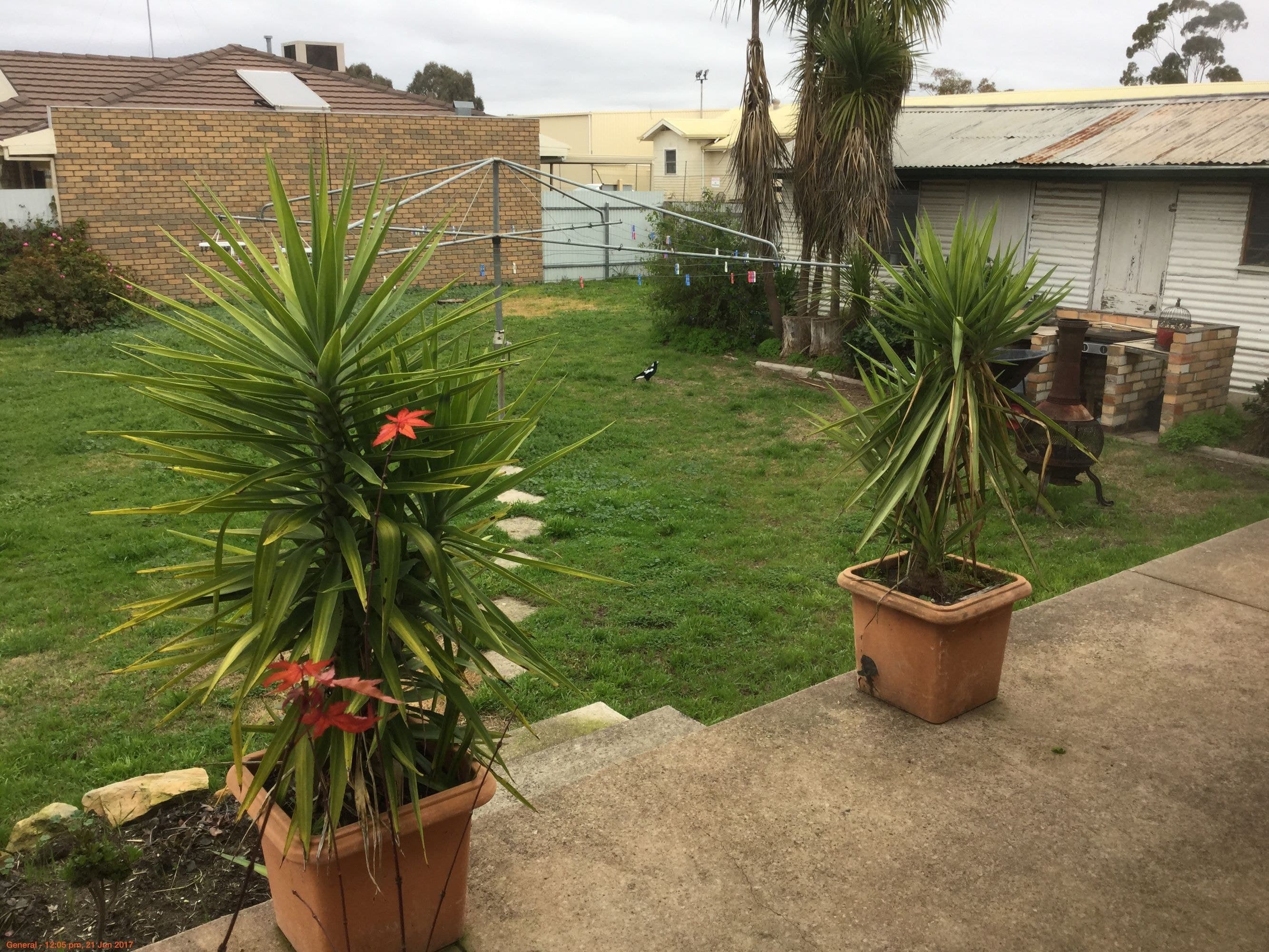 93 Baillie Street, Horsham, VIC 3400, Horsham - Thumbnail 7