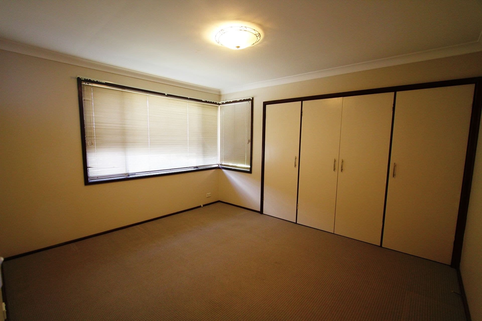 56 Bungarra Crescent, Chipping Norton, NSW, 2170, Chipping Norton - Thumbnail 4