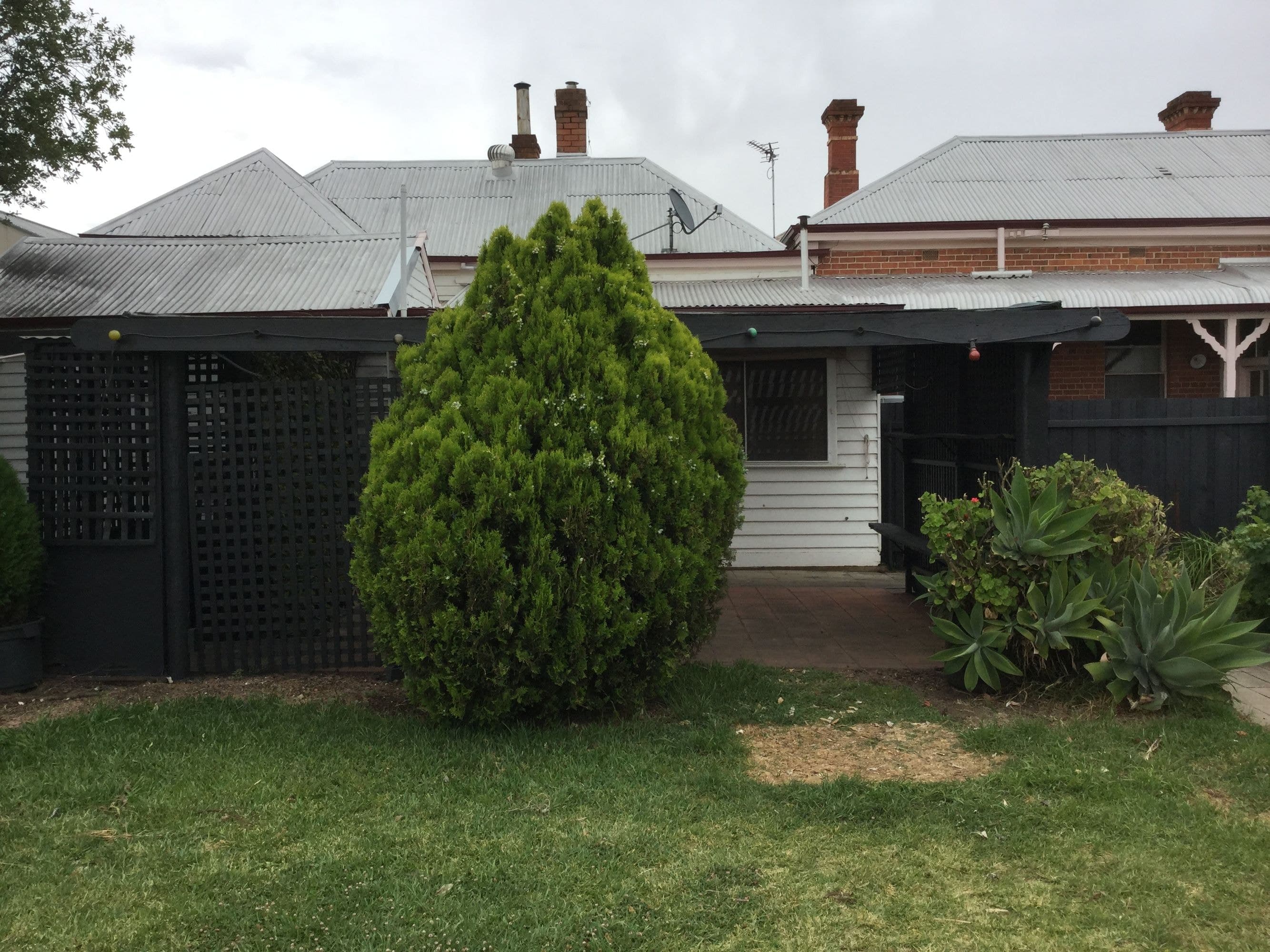 43 Duncan Street, Murtoa VIC 3390, Murtoa - Image 1