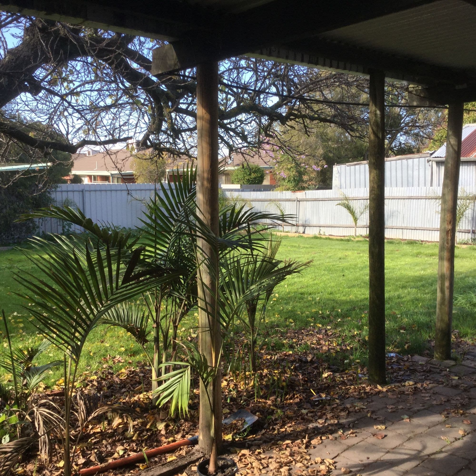12 Valentine Avenue, Horsham VIC 3400, Horsham - Thumbnail 8