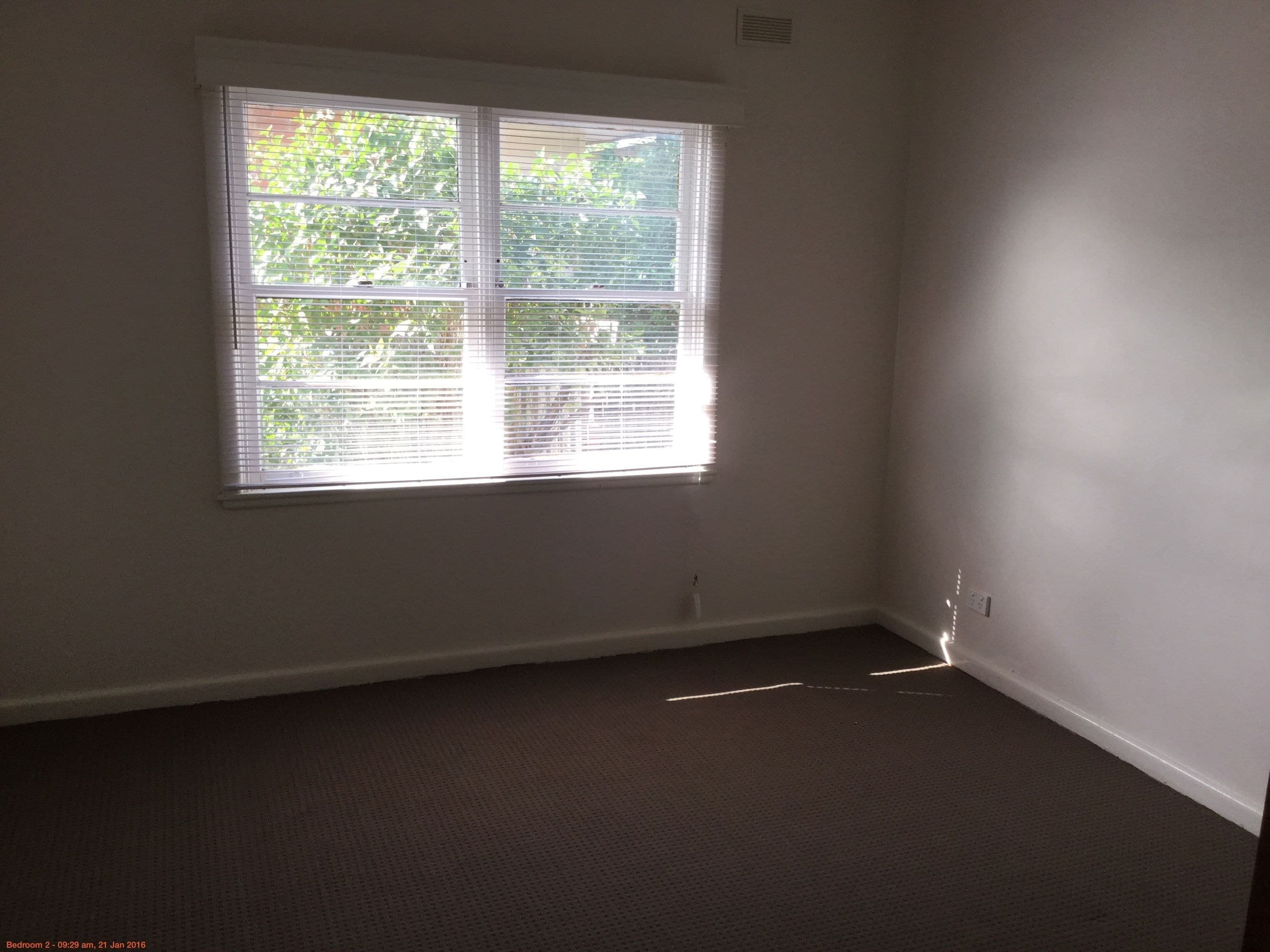 16 Philip Street, Horsham VIC 3400, Horsham - Thumbnail 4