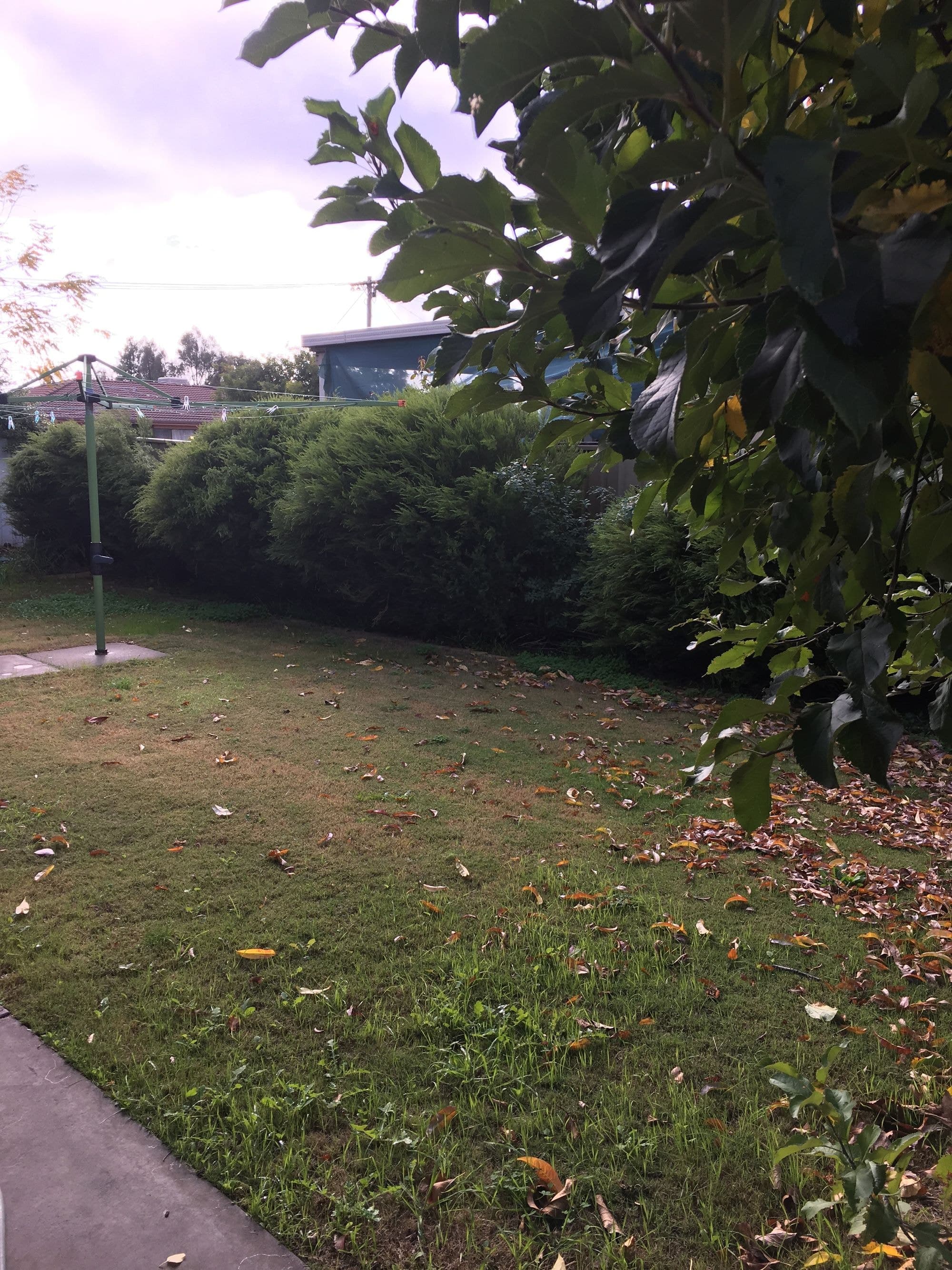 10 Young Street, Horsham VIC 3400, Horsham - Thumbnail 5