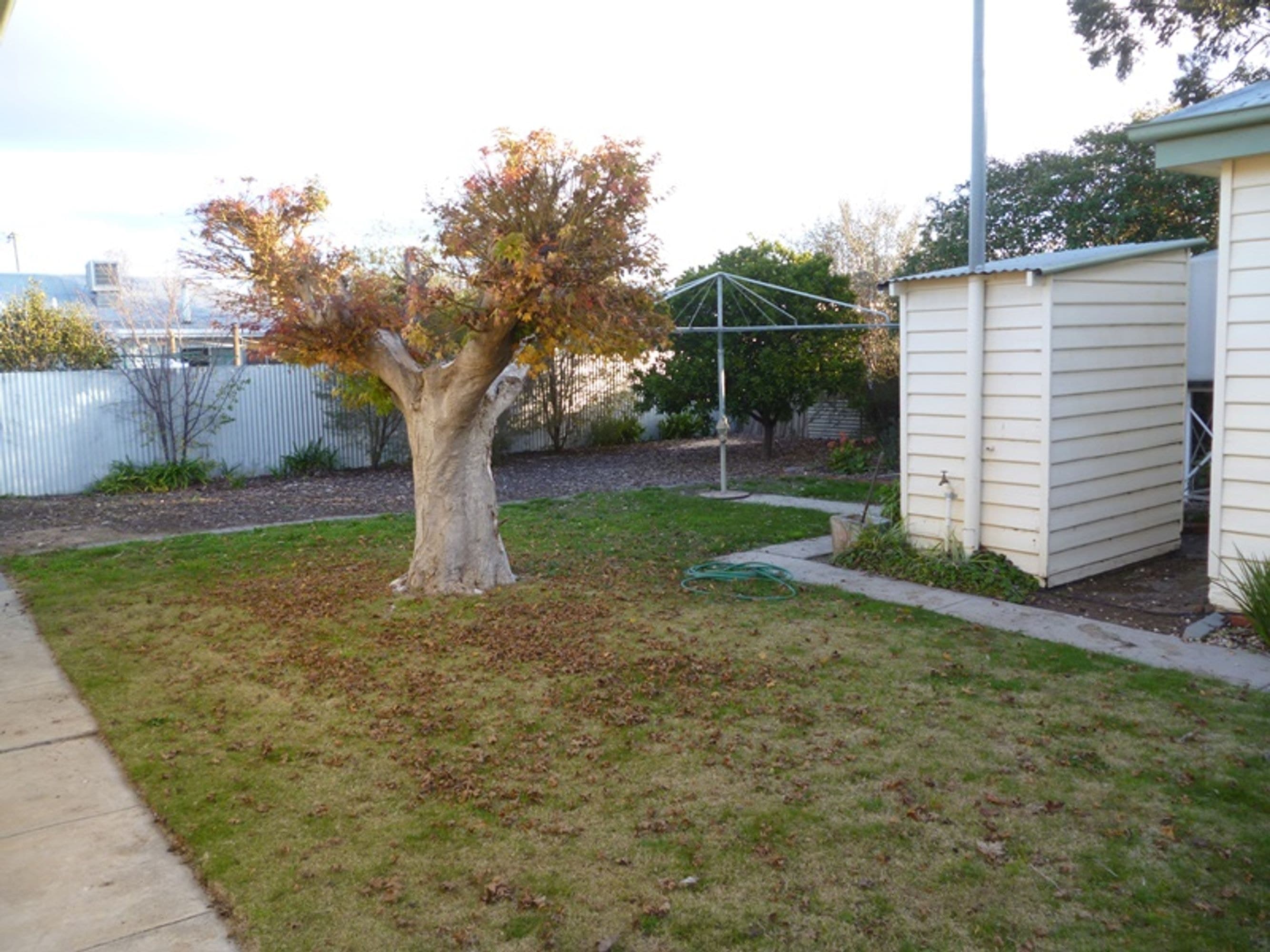 5 Lewis Street, Horsham, VIC 3400, Horsham - Thumbnail 6