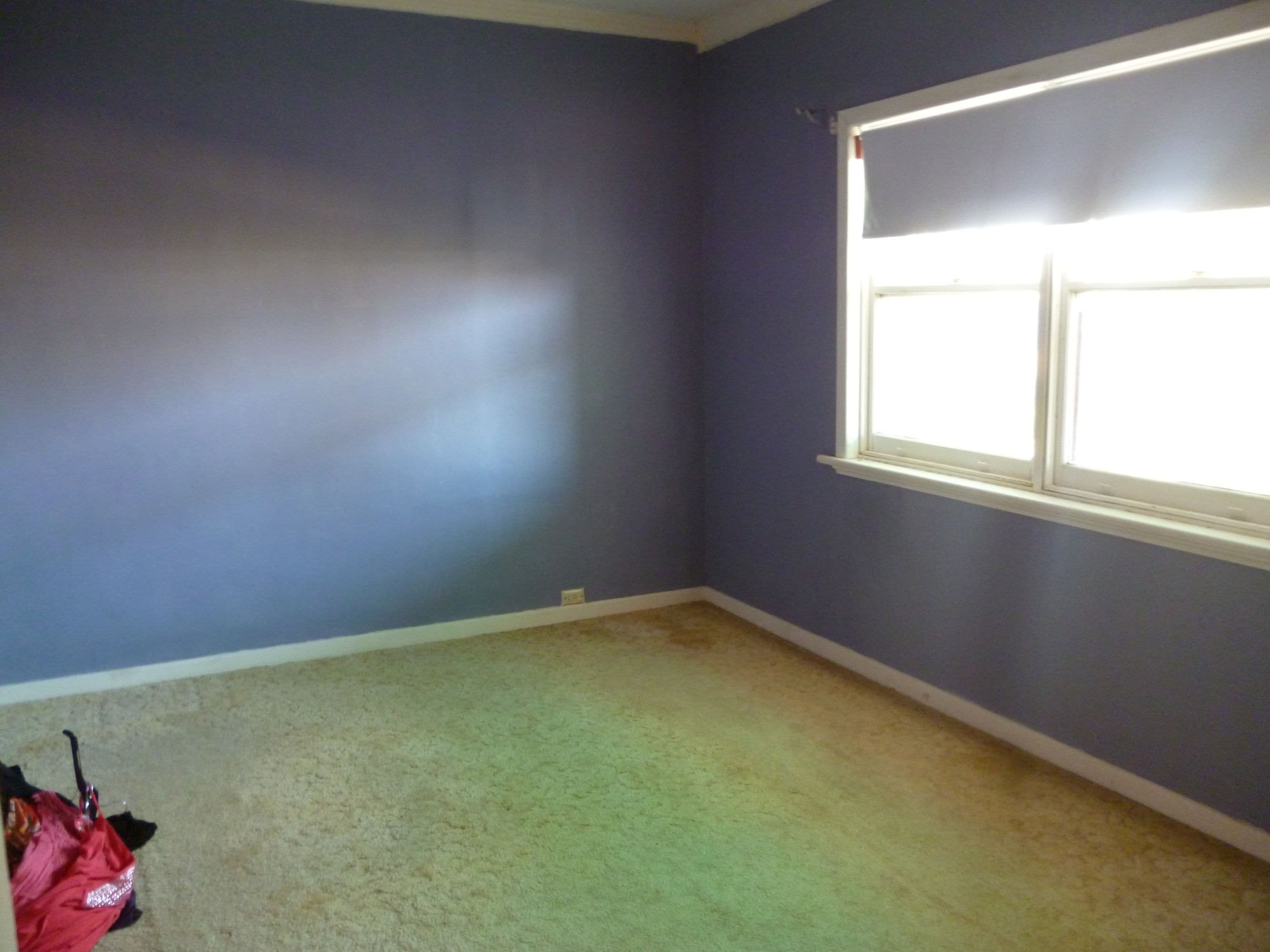 4 Palm Avenue, Horsham VIC 3400, Horsham - Thumbnail 4