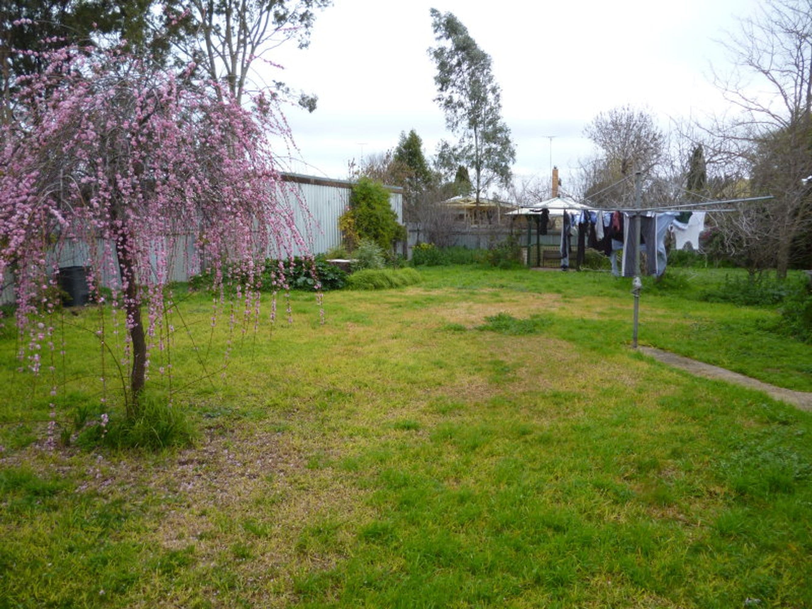 11 Frederick Street, Horsham VIC 3400, Horsham - Thumbnail 6