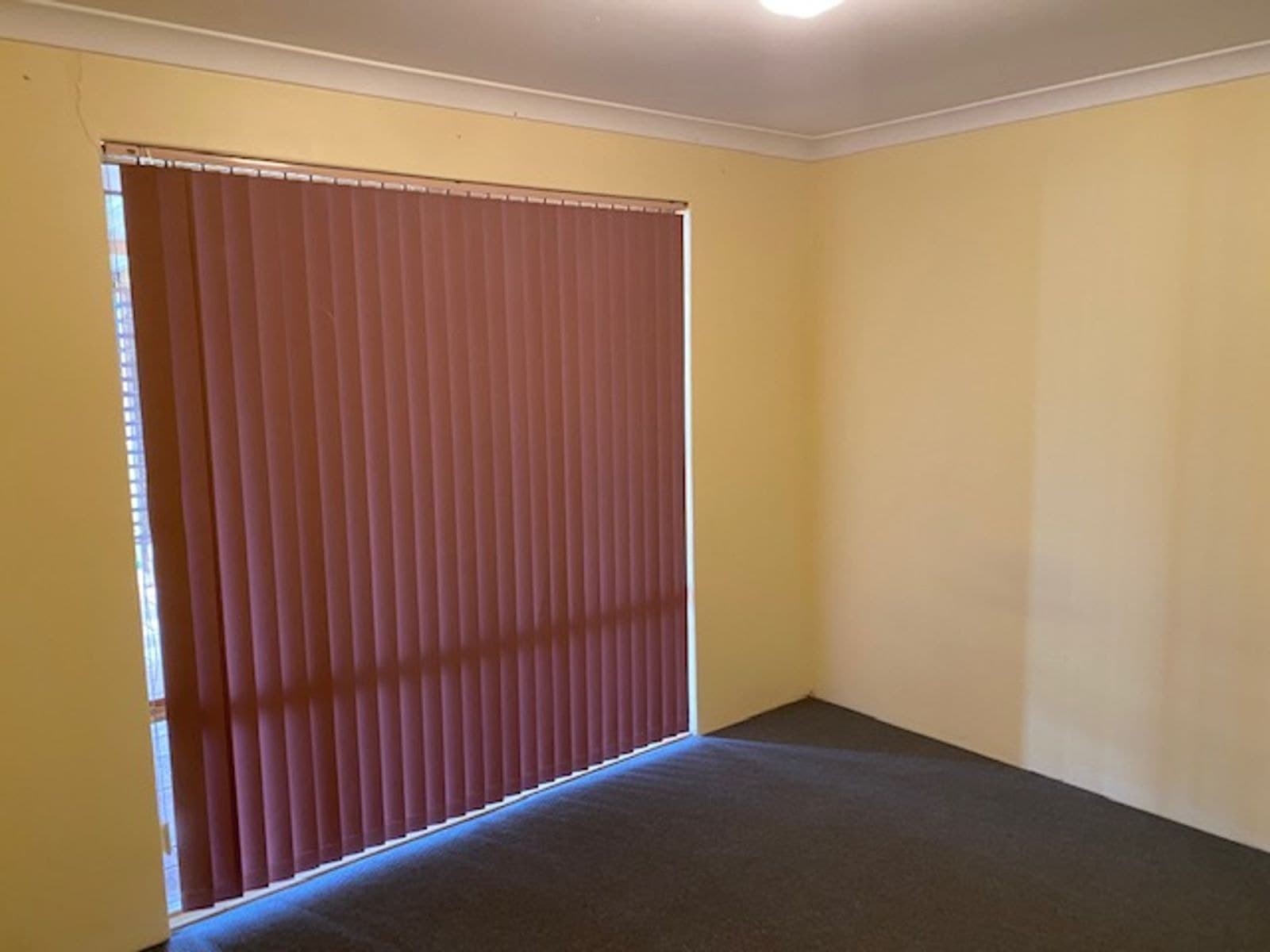 47 Camp Road, Pinjarra WA 6208, Pinjarra - Thumbnail 6