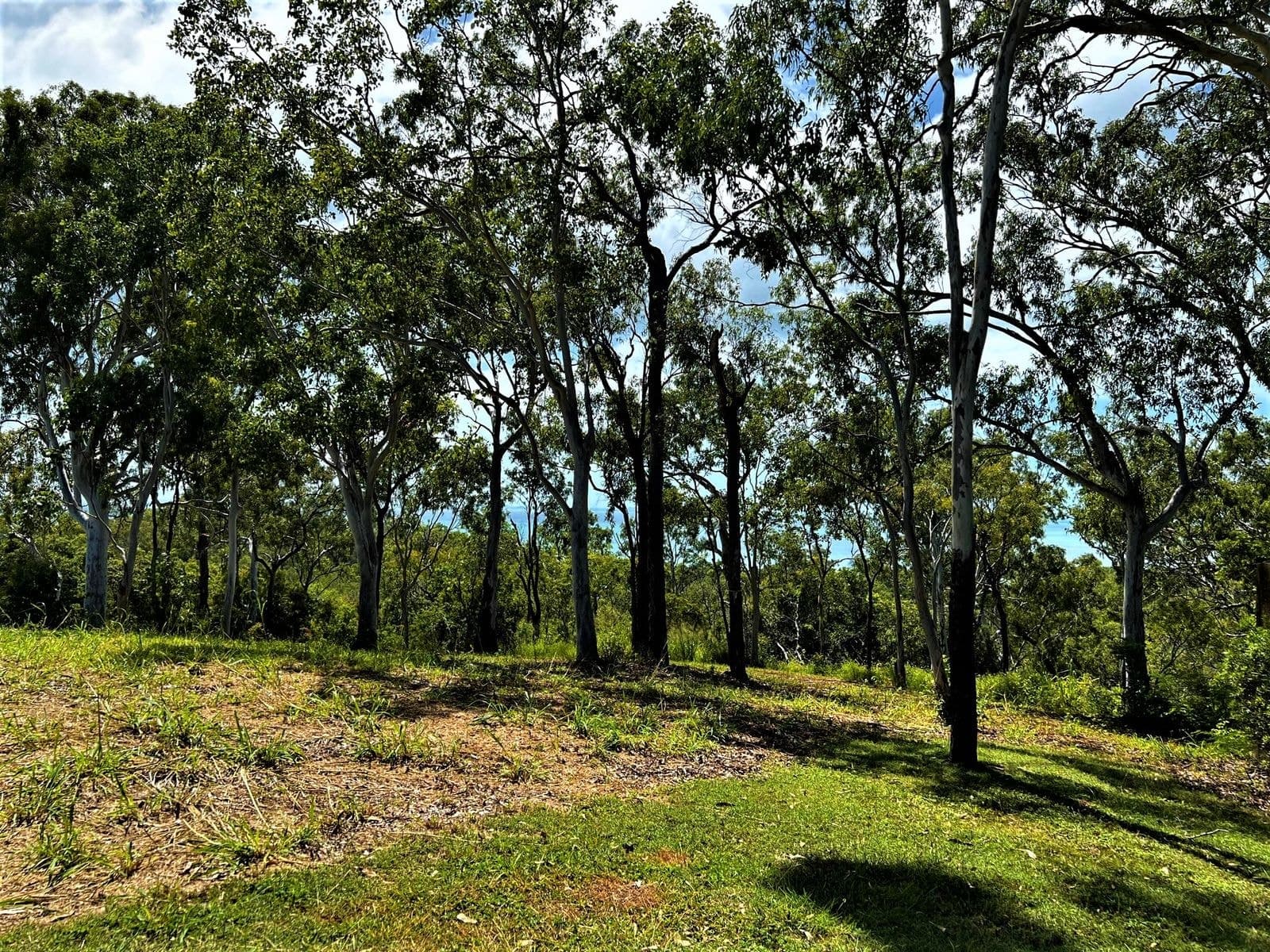Lot 12 Ocean View Crescent, Freshwater Point QLD 4737, Freshwater Point - Thumbnail 4