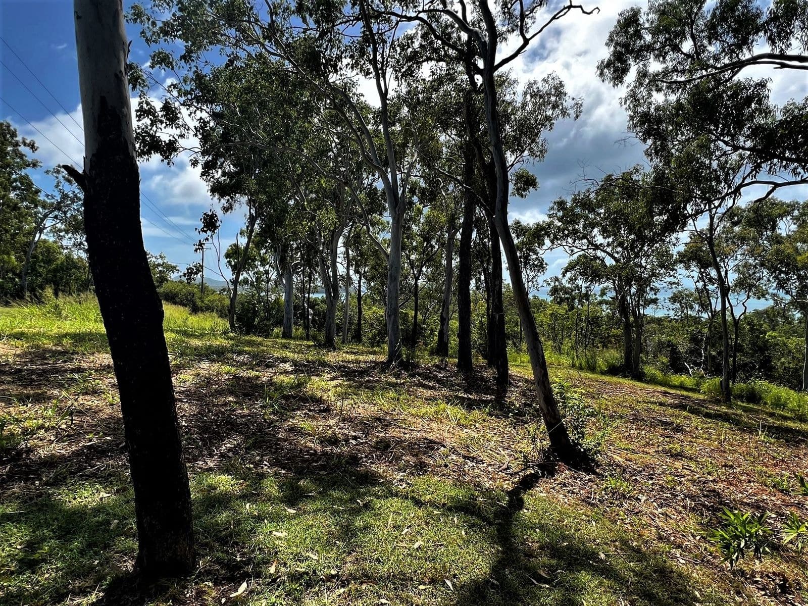 Lot 12 Ocean View Crescent, Freshwater Point QLD 4737, Freshwater Point - Thumbnail 5