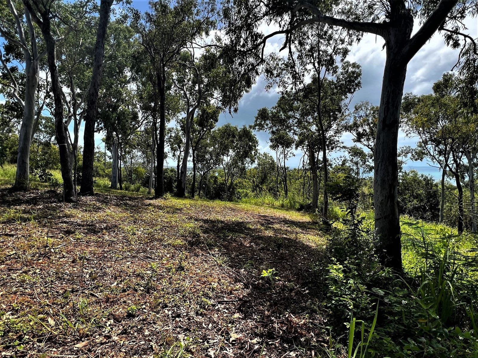 Lot 12 Ocean View Crescent, Freshwater Point QLD 4737, Freshwater Point - Thumbnail 6