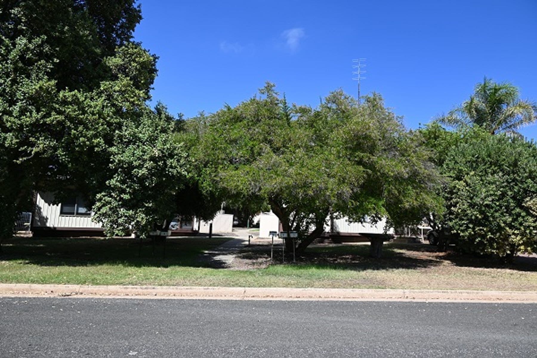 Units 1-6, 2 Kent Crescent, Waikerie SA 5330, Waikerie - Thumbnail 2