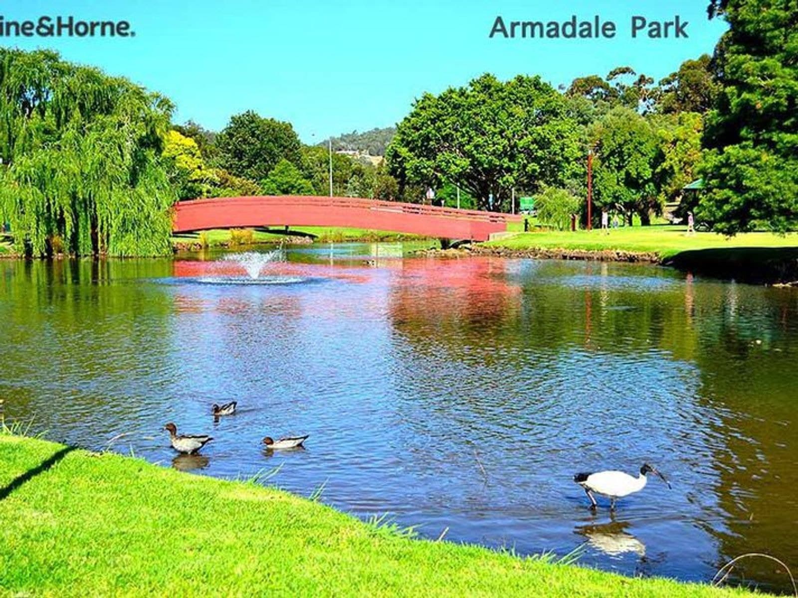 12C KYOGLE PLACE, Armadale WA 6112, Armadale - Thumbnail 6