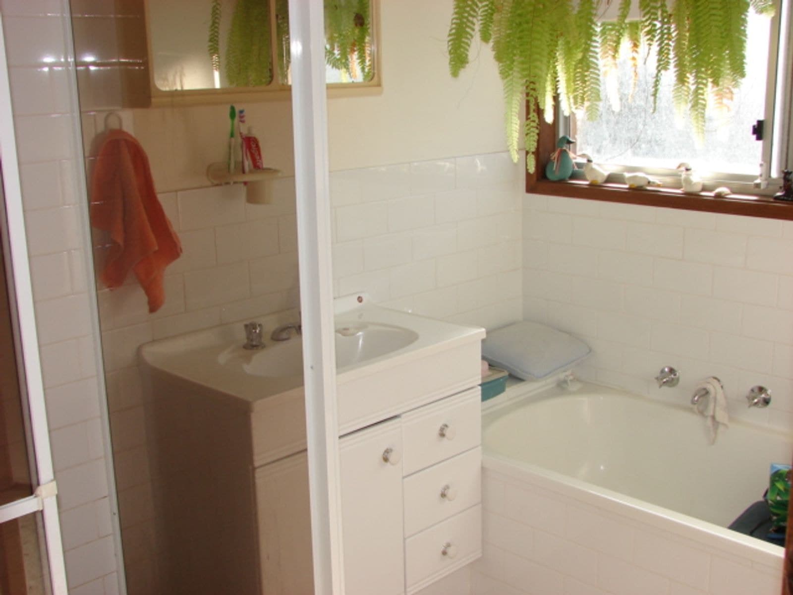 13 Casuarina Close, Muswellbrook NSW 2333, Muswellbrook - Thumbnail 4