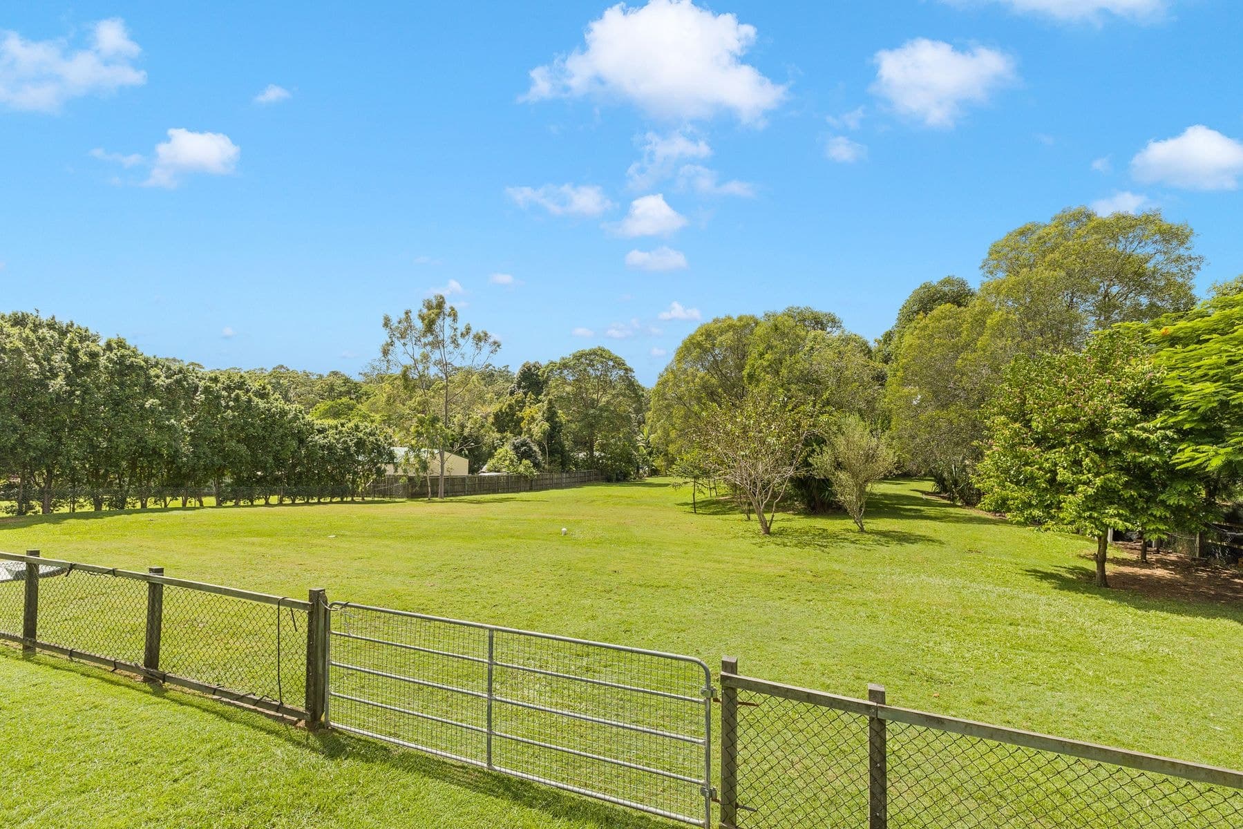 59 Taylor Road, Thornlands QLD 4164, Thornlands - Thumbnail 8