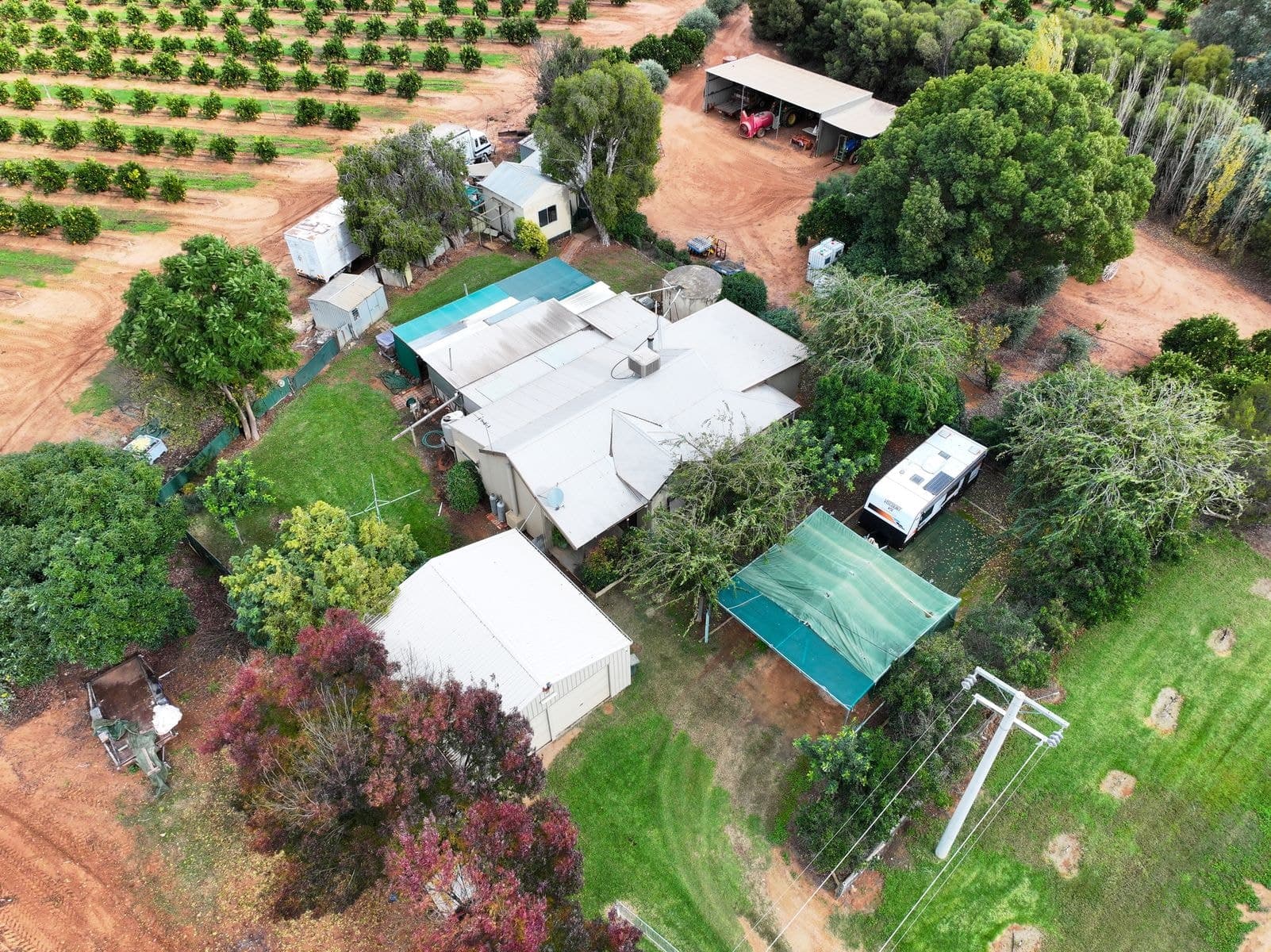 30 Merrijig Avenue, Red Cliffs VIC 3496, Red Cliffs - Thumbnail 2
